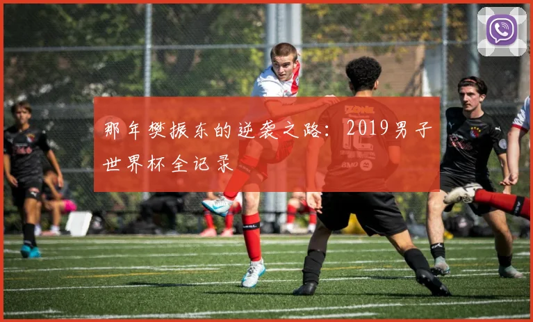 那年樊振东的逆袭之路：2019男子世界杯全记录