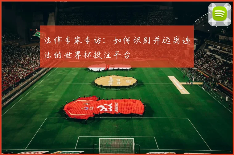 法律专家专访：如何识别并远离违法的世界杯投注平台