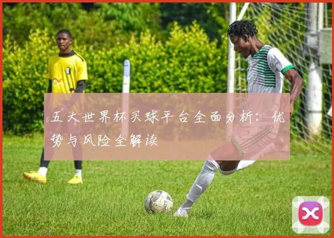 五大世界杯买球平台全面分析：优势与风险全解读