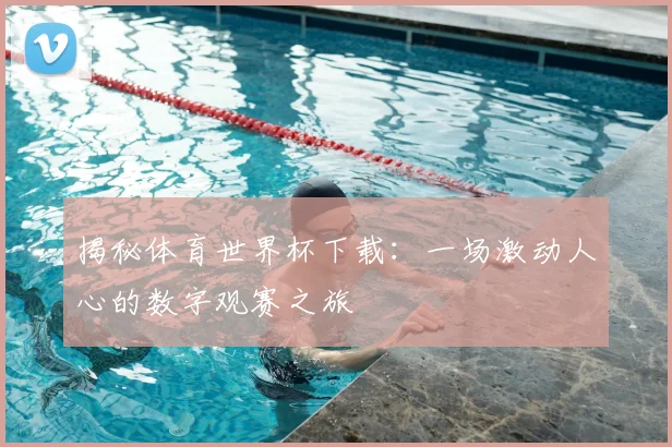 揭秘体育世界杯下载:一场激动人心的数字观赛之旅