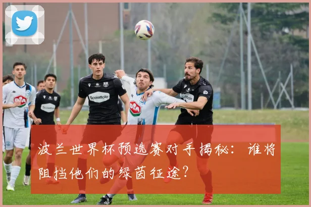 波兰世界杯预选赛对手揭秘：谁将阻挡他们的绿茵征途？
