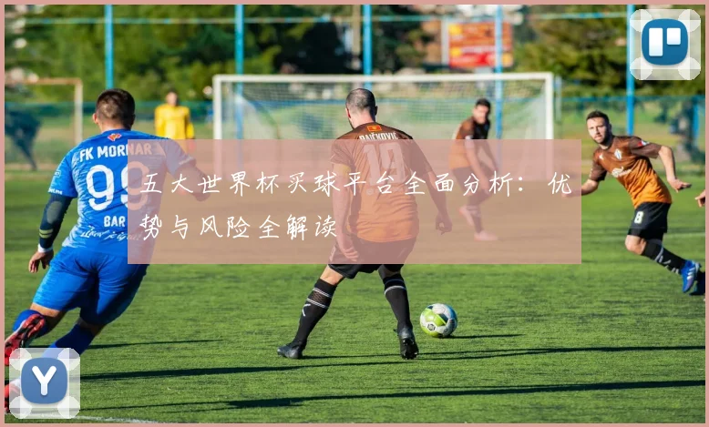 五大世界杯买球平台全面分析：优势与风险全解读