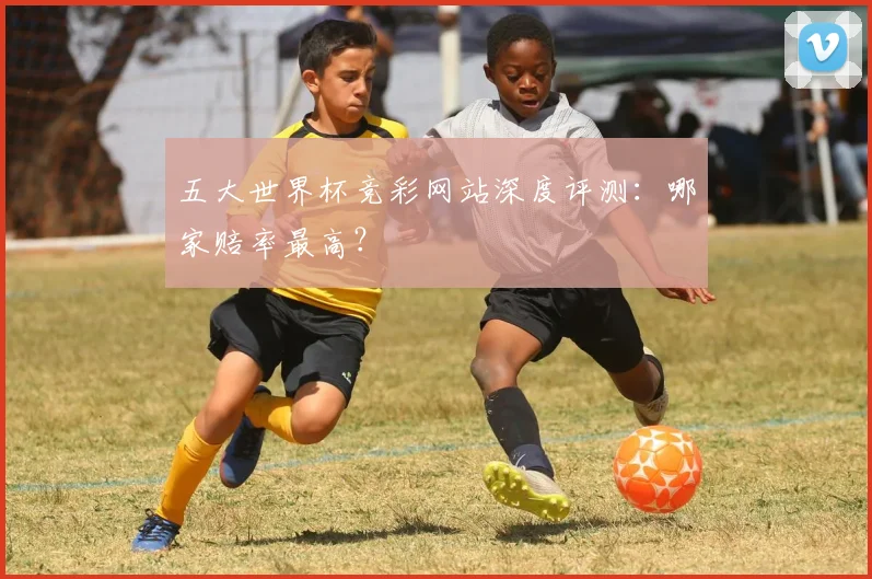 五大世界杯竞彩网站深度评测：哪家赔率最高？