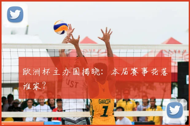 欧洲杯主办国揭晓：本届赛事花落谁家？