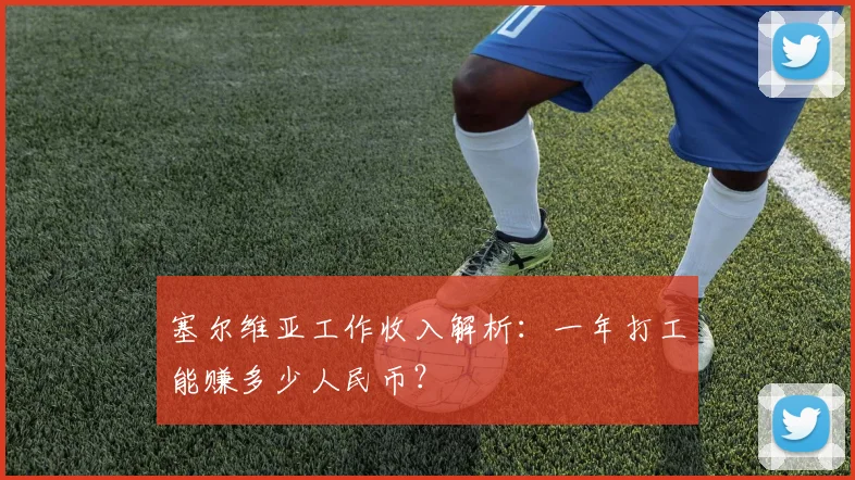 塞尔维亚工作收入解析:一年打工能赚多少人民币?