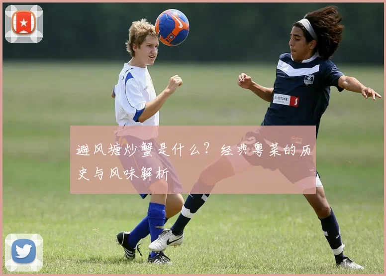避风塘炒蟹是什么？经典粤菜的历史与风味解析