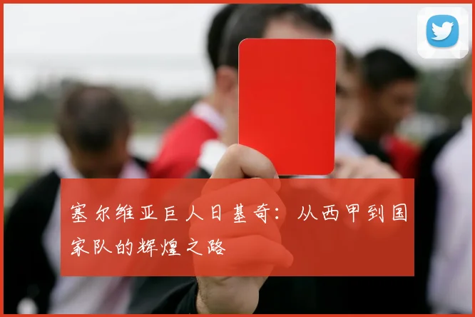 塞尔维亚巨人日基奇：从西甲到国家队的辉煌之路