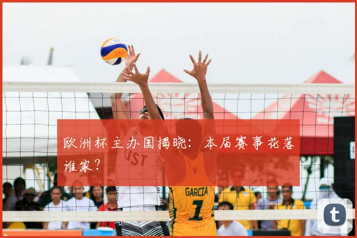 欧洲杯主办国揭晓:本届赛事花落谁家?