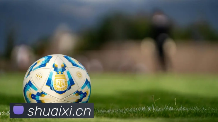 云开体育app官网平台生态图